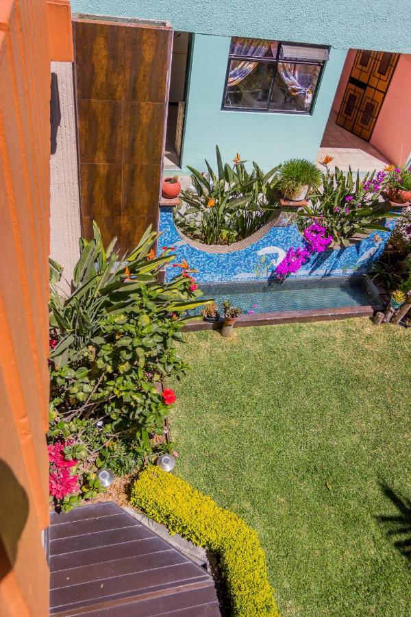 Casa De Las Palmas Guest House Oaxaca 外观 照片
