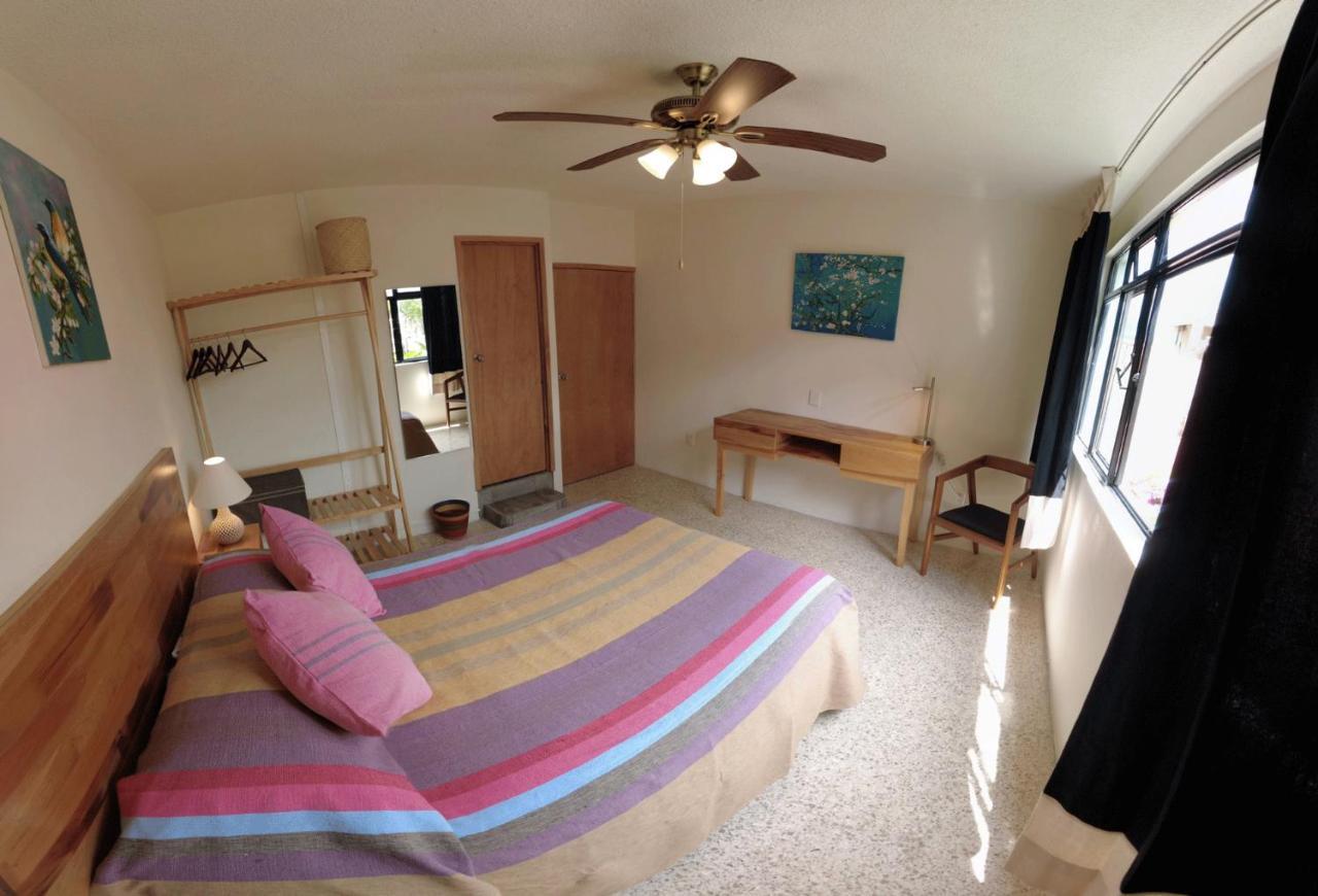 Casa De Las Palmas Guest House Oaxaca 外观 照片