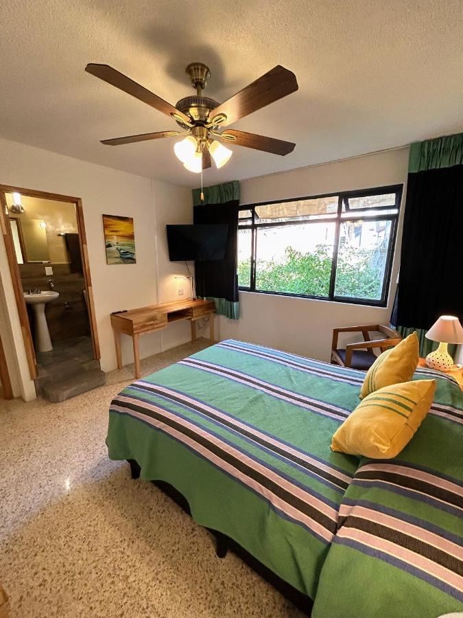 Casa De Las Palmas Guest House Oaxaca 外观 照片
