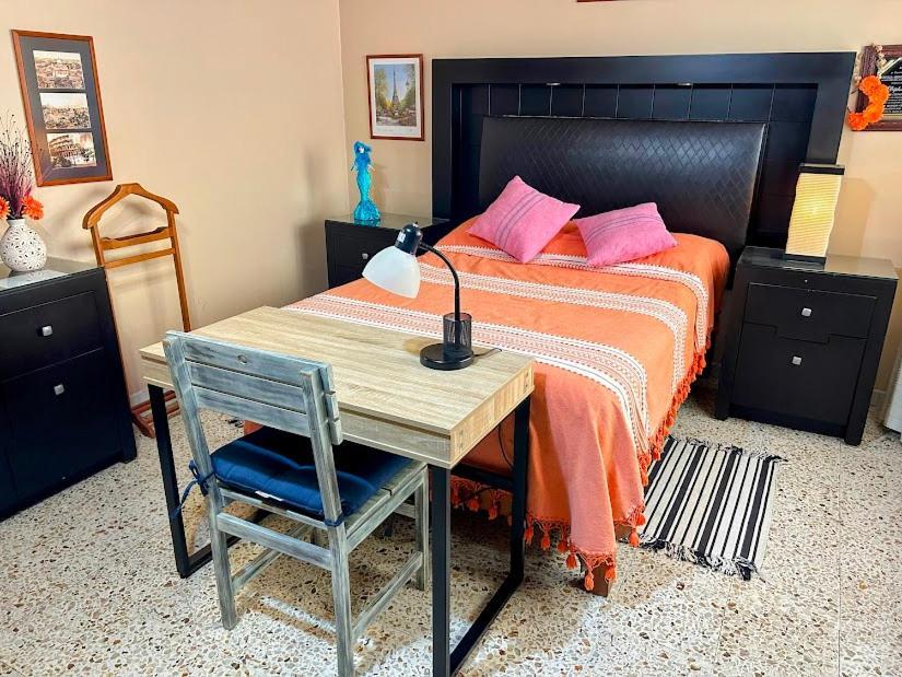 Casa De Las Palmas Guest House Oaxaca 外观 照片