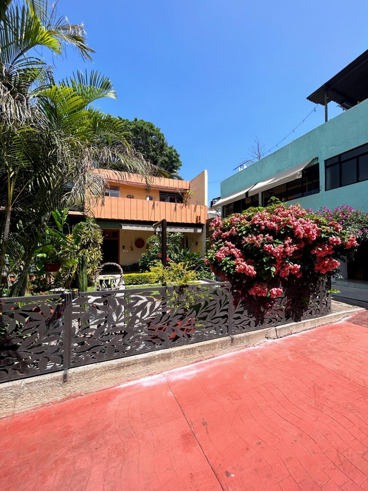 Casa De Las Palmas Guest House Oaxaca 外观 照片