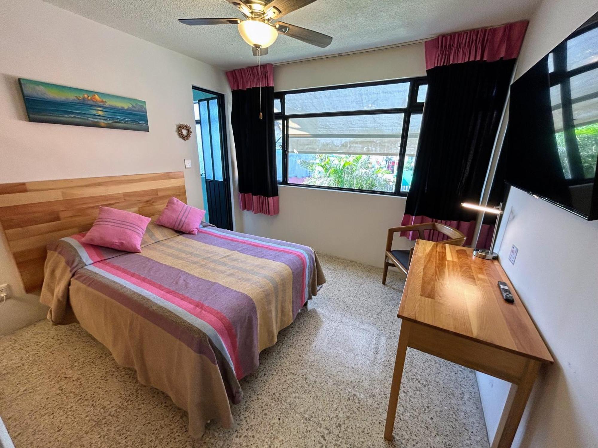 Casa De Las Palmas Guest House Oaxaca 外观 照片